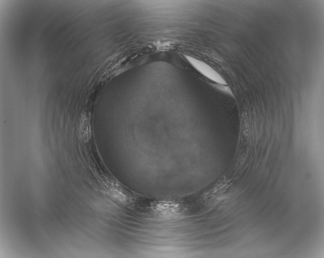 X0000056030471200509092210