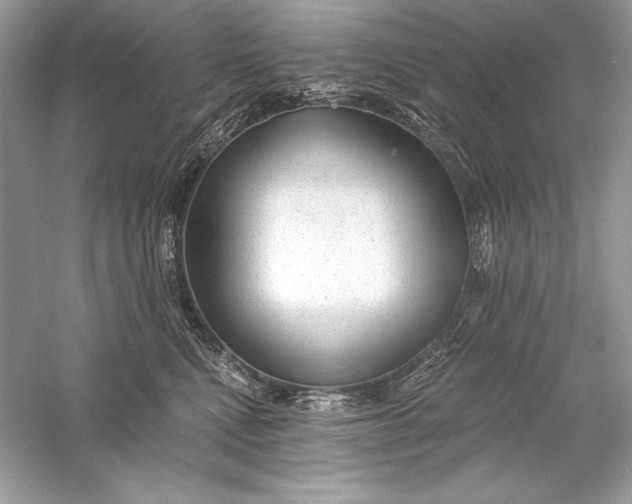 X0000056030472200509092210