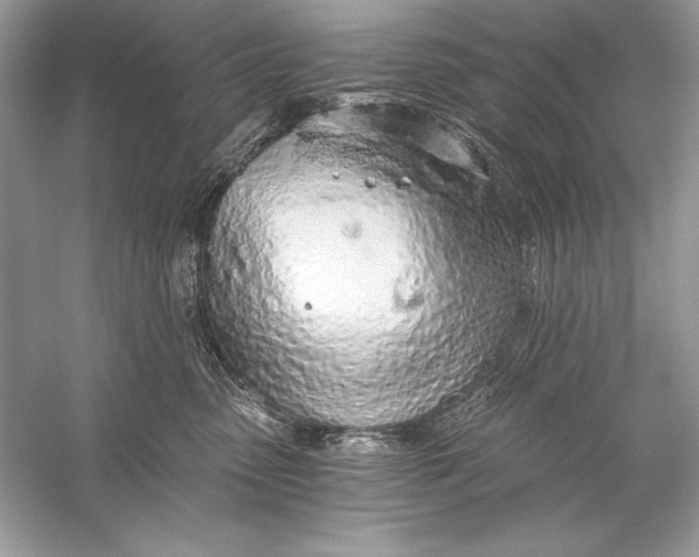 X0000056030475200509092210