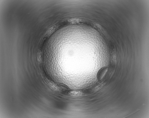 X0000056030477200509092210