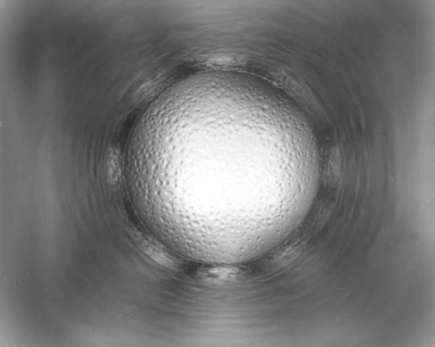 X0000056030478200509092210