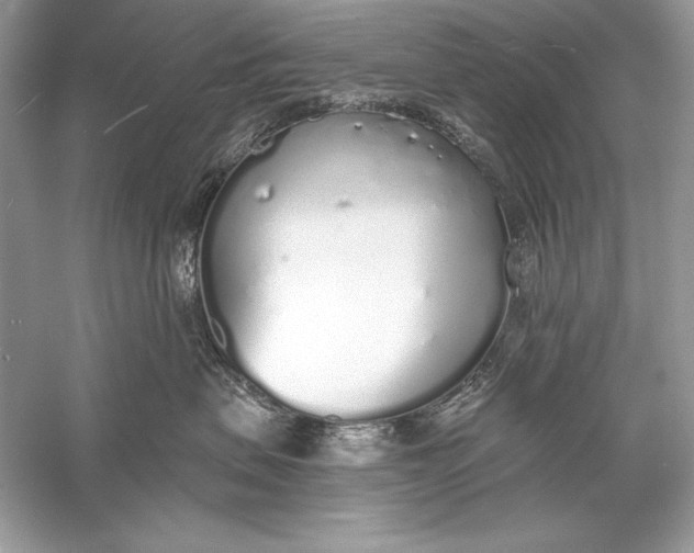 X0000056030479200509092210