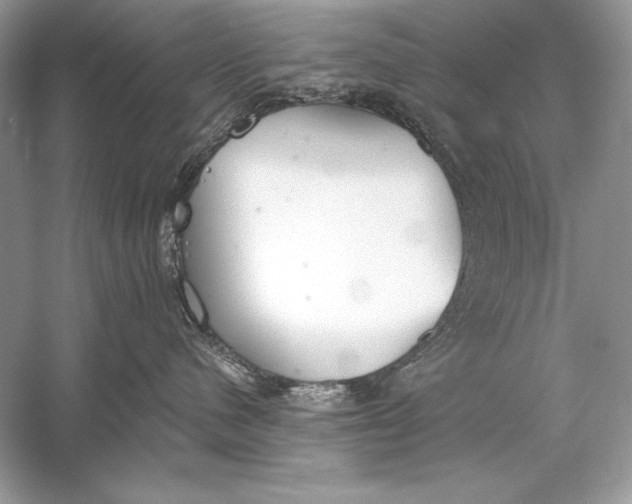 X0000056030480200509092210