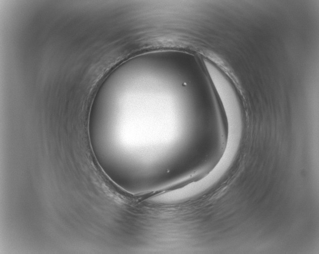 X0000056030481200509092209