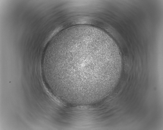 X0000056030482200509092209