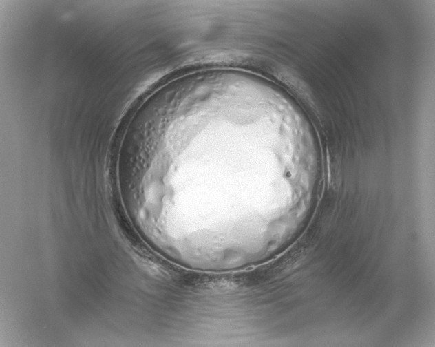 X0000056030483200509092209