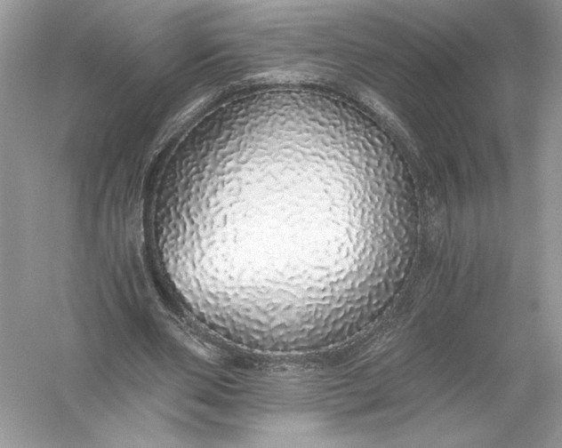 X0000056030486200509092209