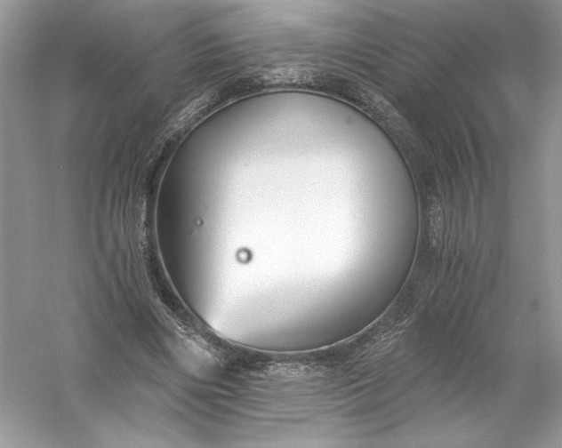 X0000056030490200509092209