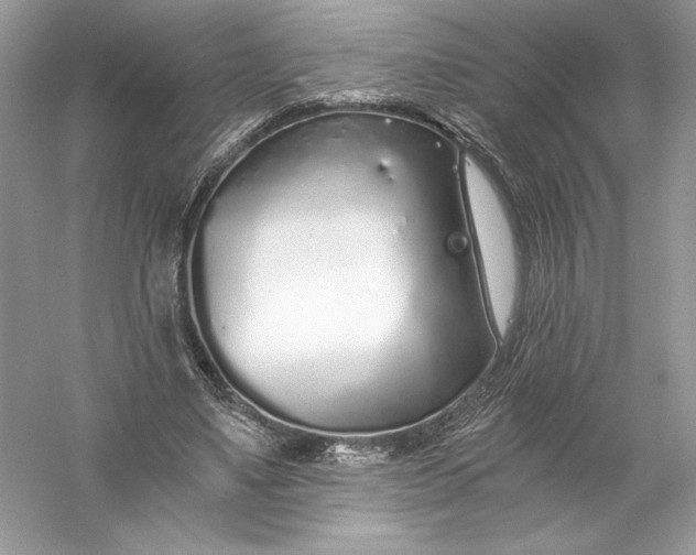 X0000056030491200509092209