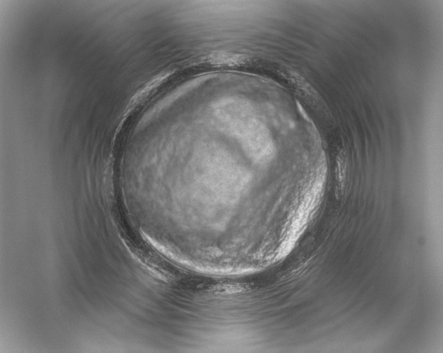 X0000056030492200509092209