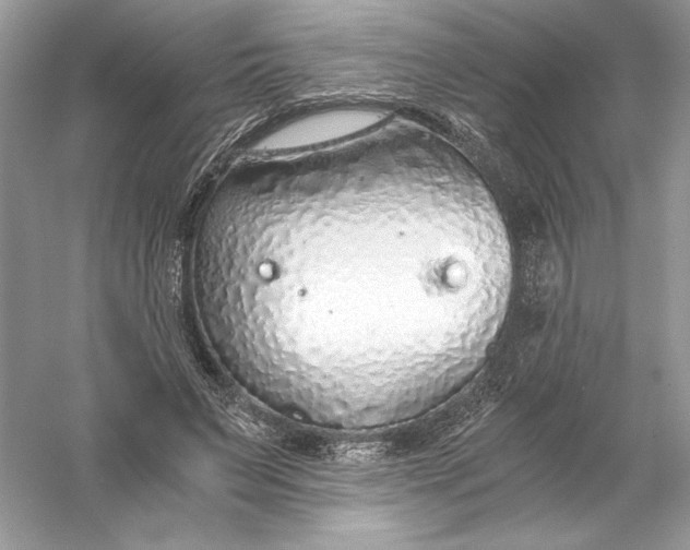 X0000056030495200509092209