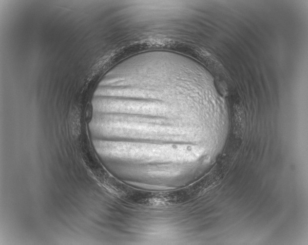 X0000056030496200509092209