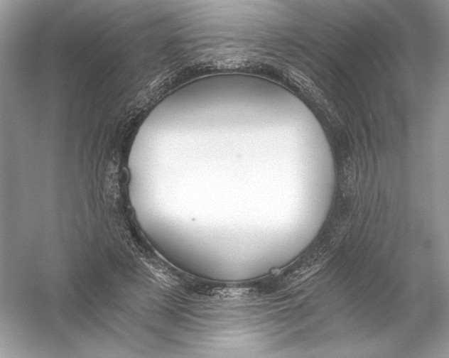 X0000056030497200509092209