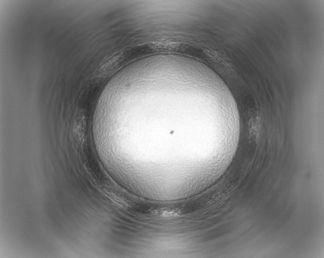 X0000056030498200509092209