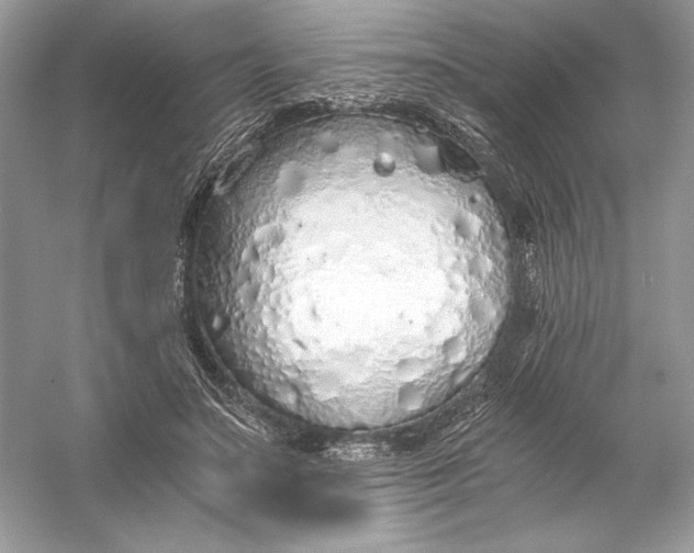 X0000056030499200509092209