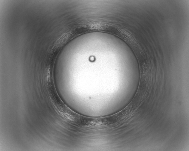 X0000056030502200509092209