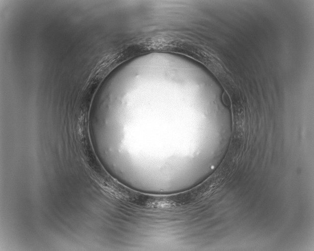 X0000056030503200509092209