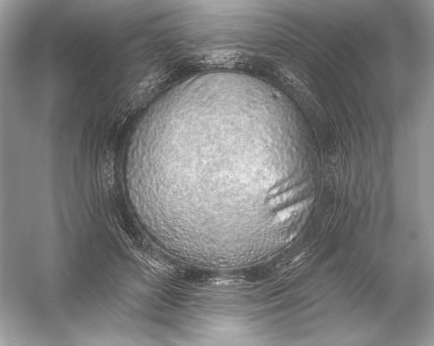 X0000056030504200509092209