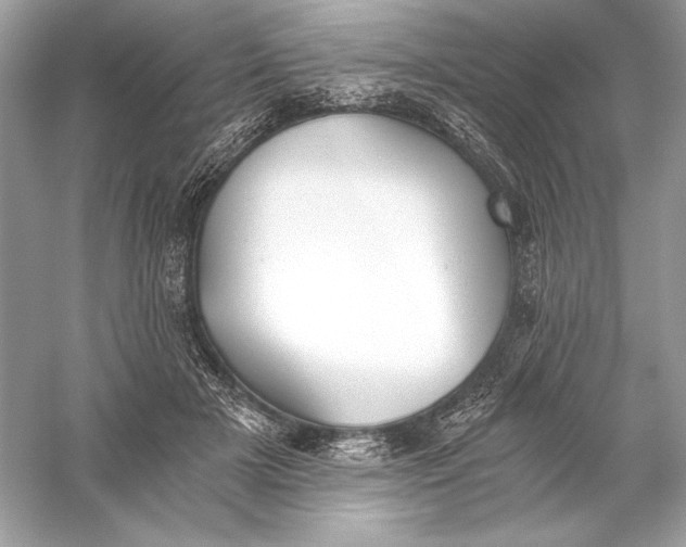 X0000056030505200509092209