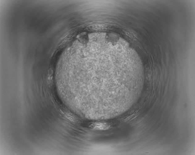 X0000056030507200509092209