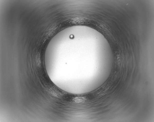 X0000056030508200509092209