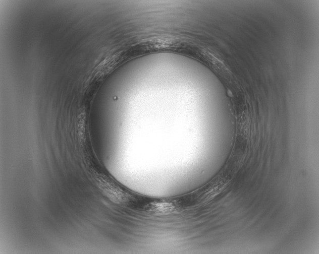 X0000056030509200509092209