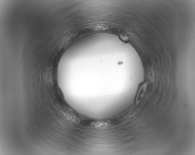 X0000056030512200509092208