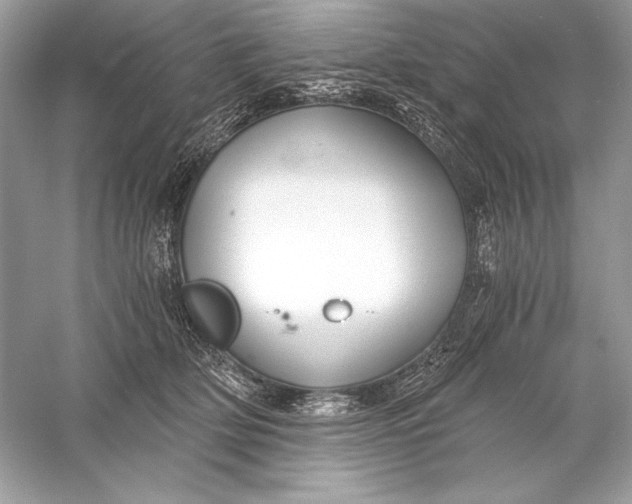 X0000056030514200509092208