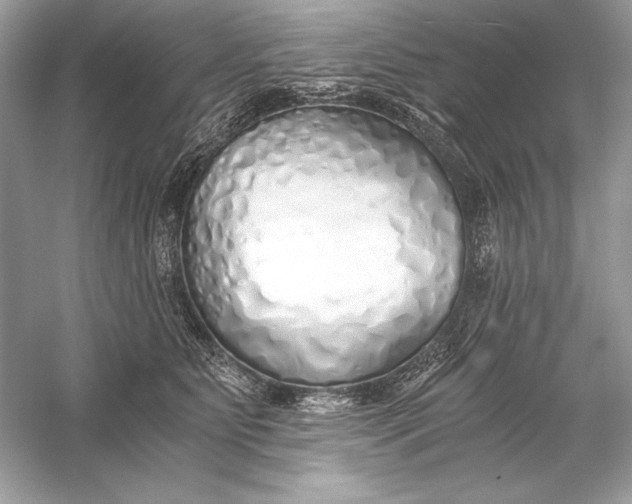 X0000056030515200509092208