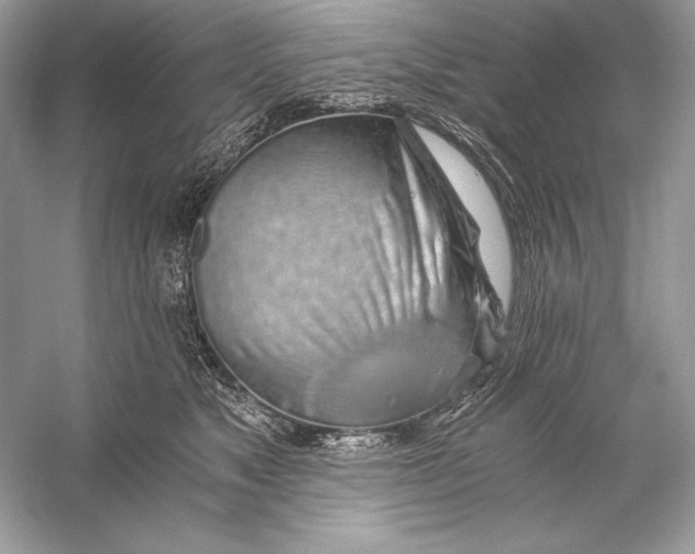 X0000056030517200509092208