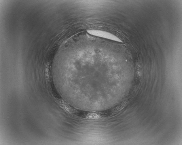 X0000056030519200509092208