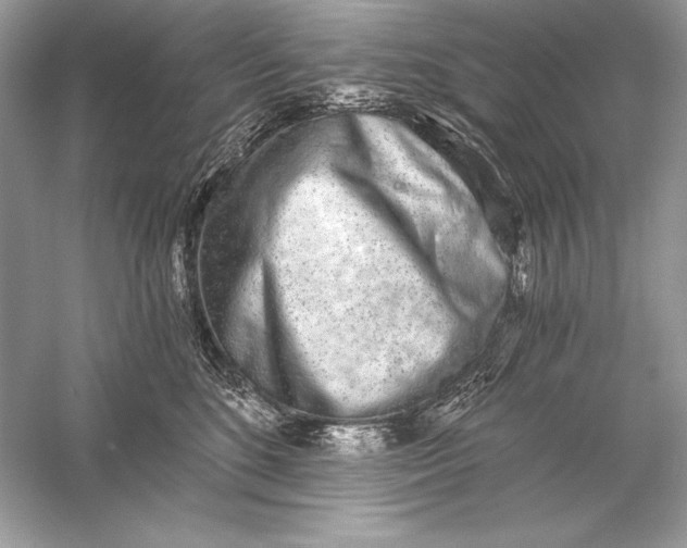 X0000056030520200509092208