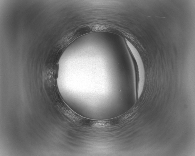 X0000056030521200509092208