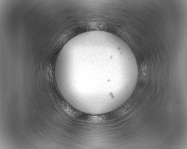 X0000056030522200509092208