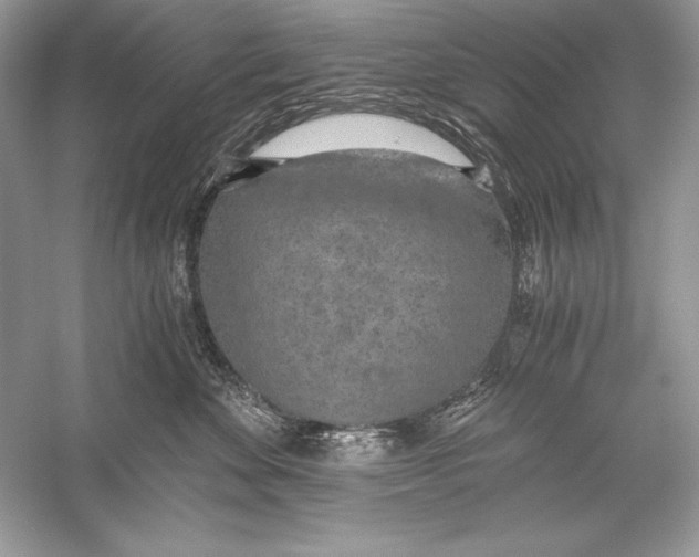 X0000056030524200509092208