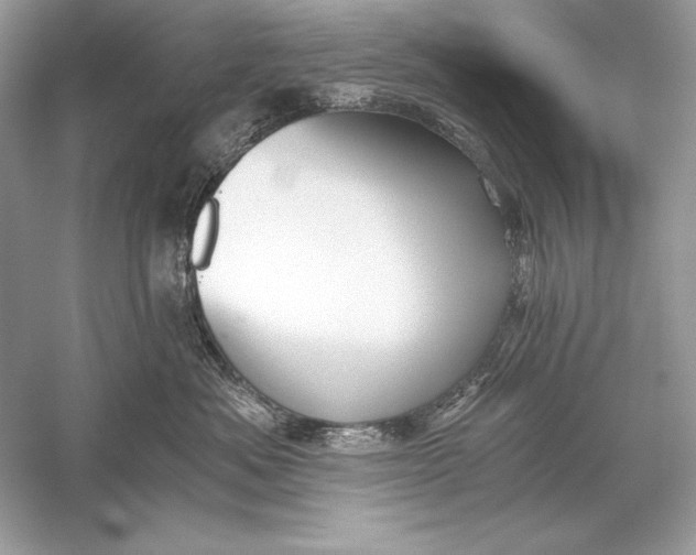 X0000056030525200509092208