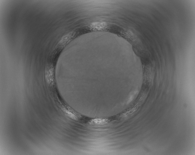 X0000056030526200509092208