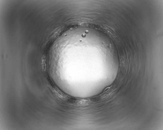 X0000056030527200509092208