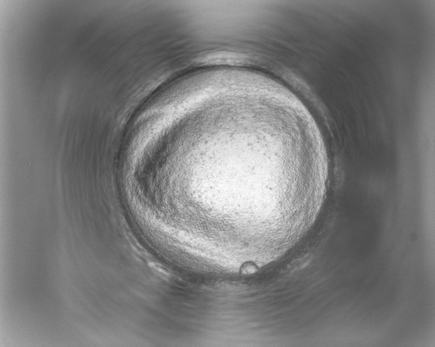 X0000056030529200509092207