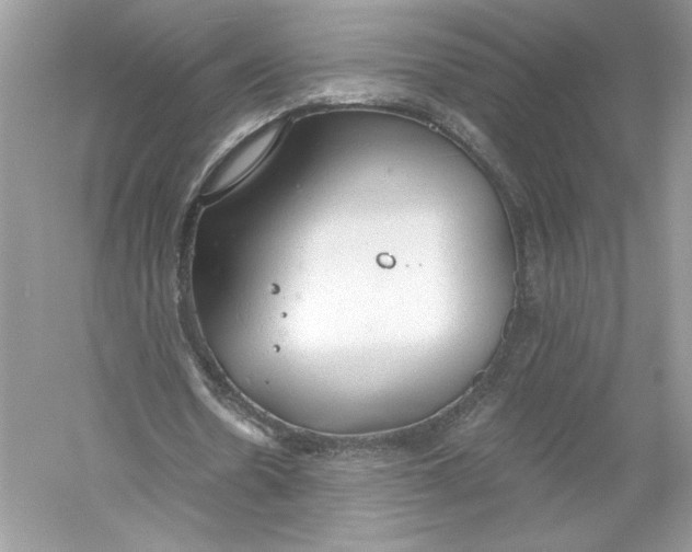 X0000056030530200509092207