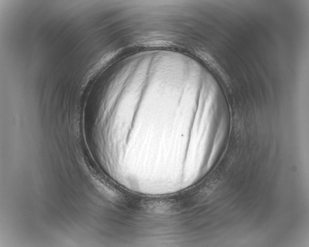 X0000056030533200509092207