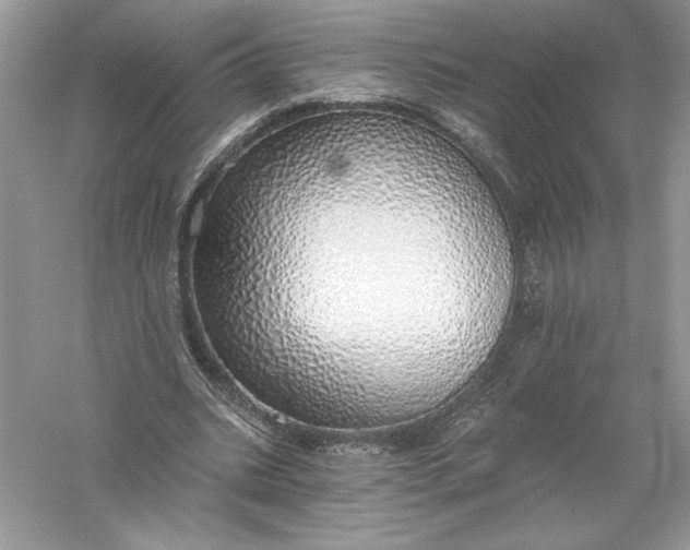 X0000056030535200509092207