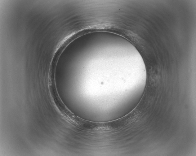 X0000056030536200509092207