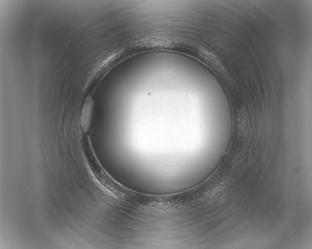 X0000056030538200509092208