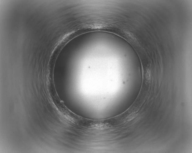 X0000056030540200509092208