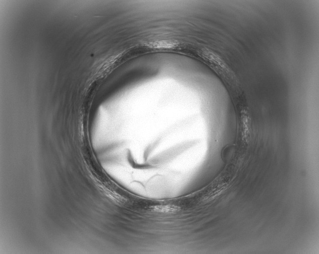 X0000056030541200509092208