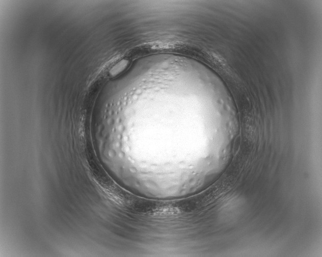 X0000056030543200509092208