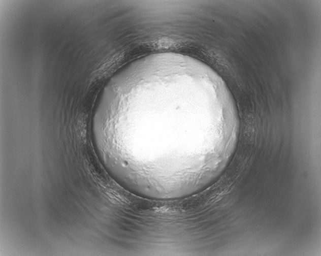 X0000056030545200509092208