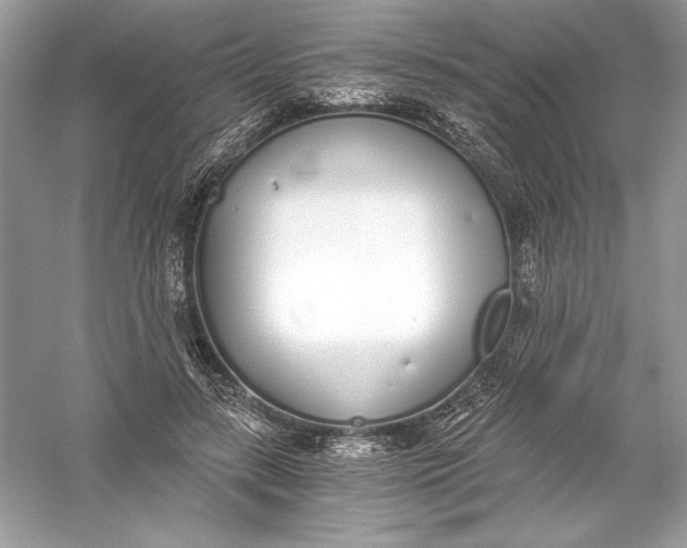 X0000056030547200509092208