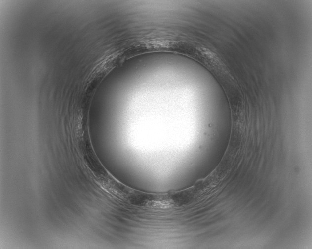 X0000056030548200509092208